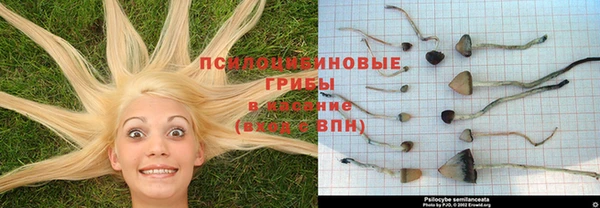 синтетический гашиш Волоколамск