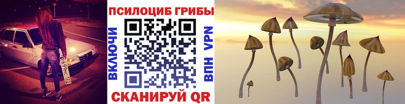 Псилоцибиновые грибы GOLDEN TEACHER  Калуга 
